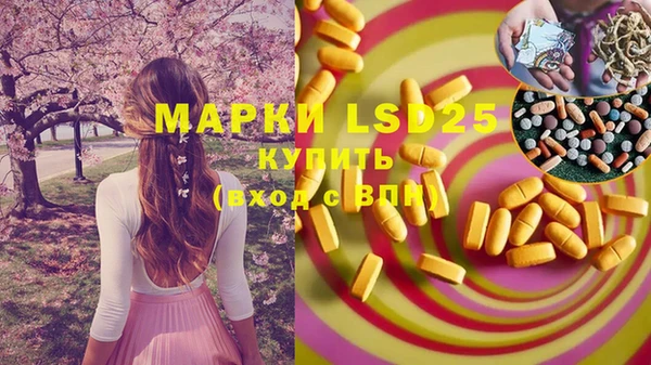 шишки Лабытнанги
