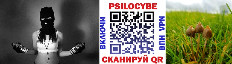 Купить  Искитим  Псилоцибиновые грибы MAGIC MUSHROOMS 