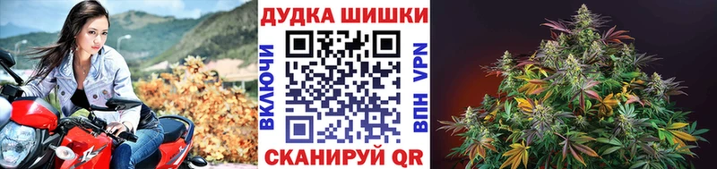 Бошки марихуана конопля Купить где Искитим